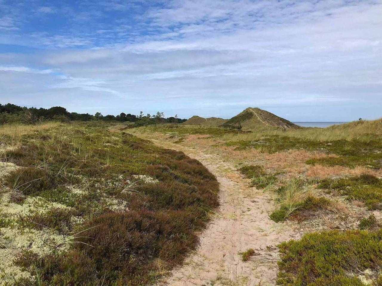 6 Personen Ferienhaus in Læsø in Nordmarken (Læsø), Østerby (Læsø)