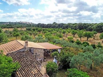 Villa in Búger, Mallorca Inselmitte für 4 