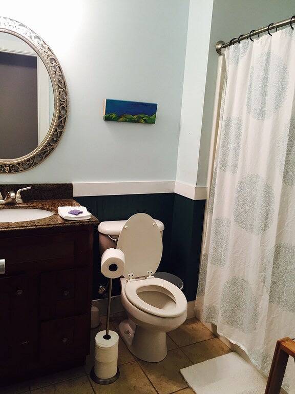 Vacation rental for 8 people, with terrace and yard in Woodfin (NC)