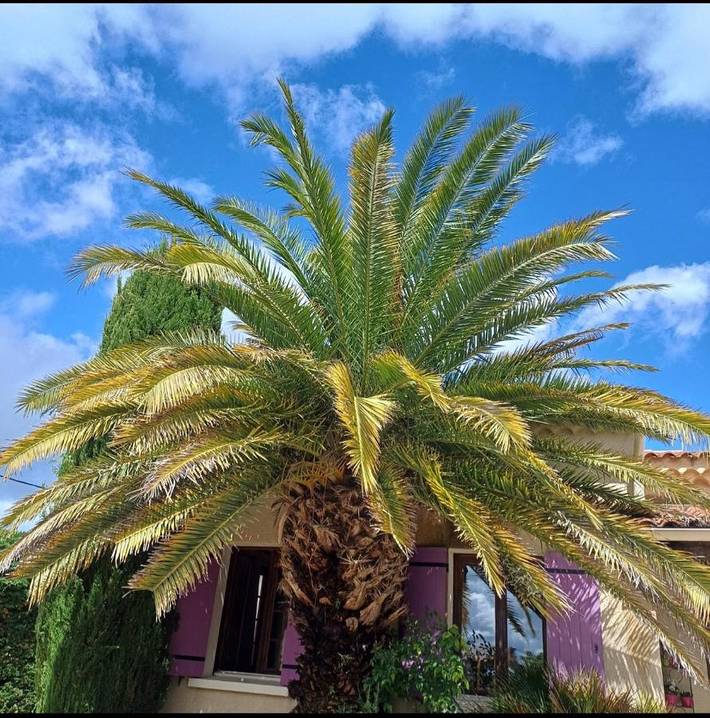 Location de vacances pour 4 personnes, avec piscine et jardin à Jonquières - 2
