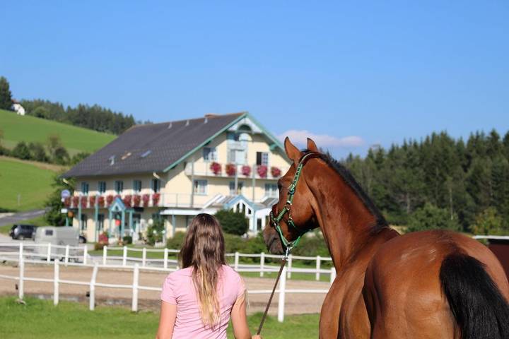 Hotel für 6 Personen, mit Ausblick und Sauna sowie Garten und Seeblick, mit Haustier