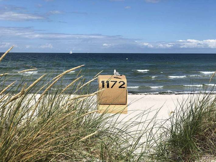 Ferienhaus für 6 Personen, mit Garten und Sauna in Schönberg - 2