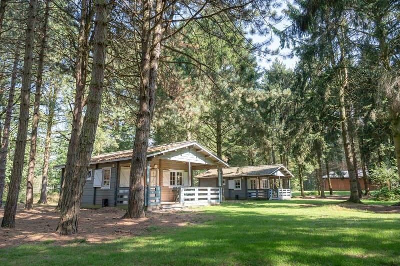 Rcn de Flaasbloem — Forest lodge in Chaam, Brabante Septentrional