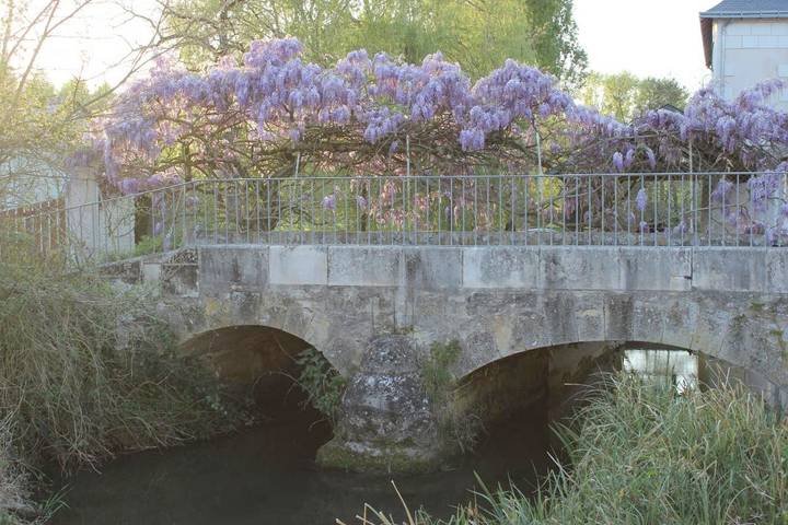 Location de vacances pour 6 personnes, animaux acceptés à Champigny-sur-Veude - 4