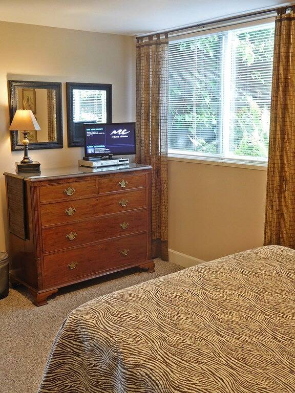 Ganze Wohnung, Ruhige 1200 Quadratfuß Ansicht Wohnung, nahe Strand in West Seattle, Seattle