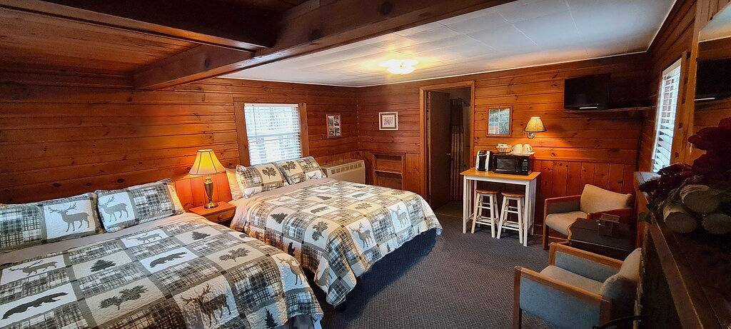 Family Chalet with fireplace under Pine trees in Adirondack Mountains