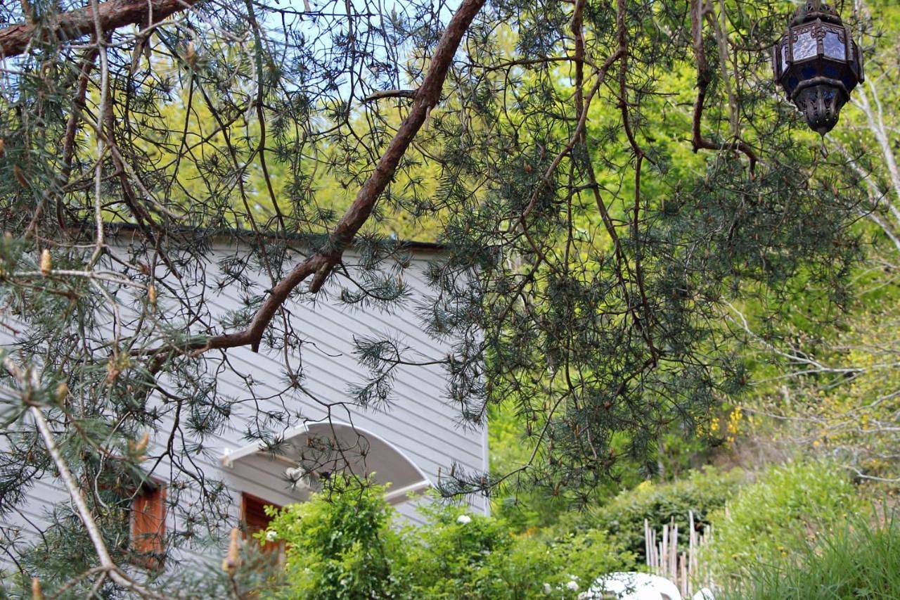 La maisonnette en bois in Sébrazac, Aveyron