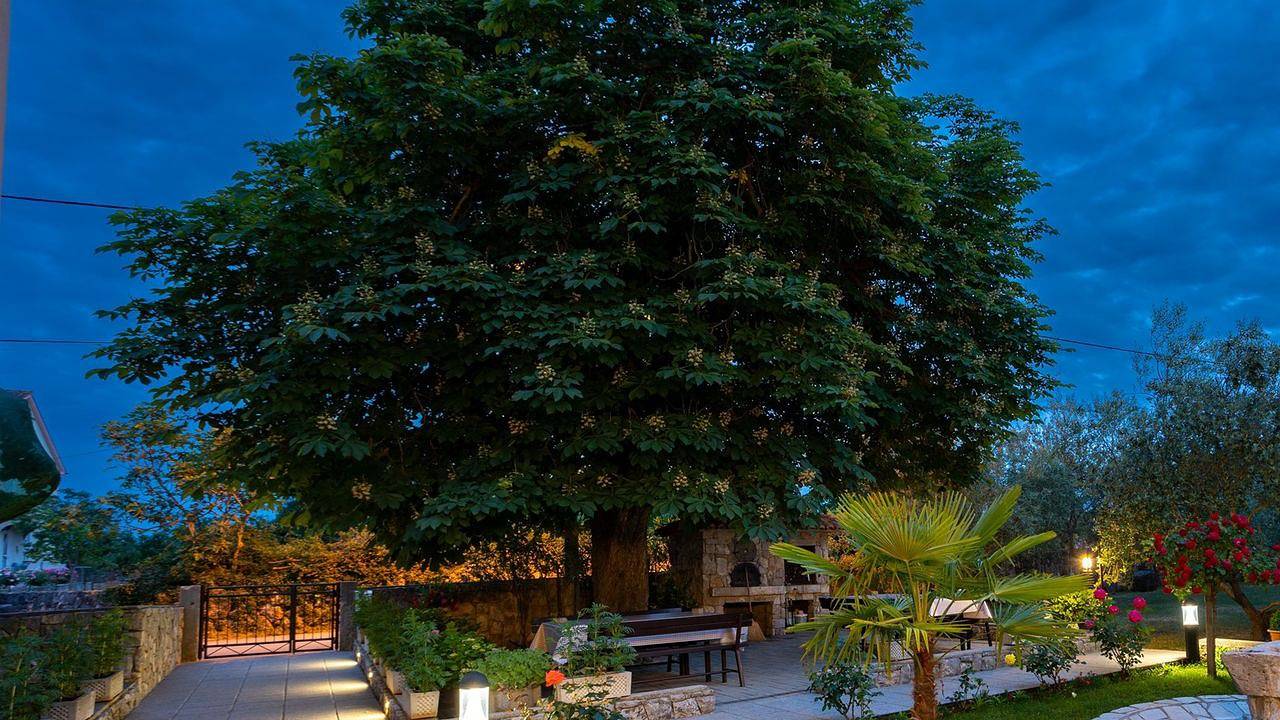 Ganze Ferienwohnung, Ferienwohnung für 3 Personen (38 m²) in Sveti Anton in Malinska-Dubašnica, Krk