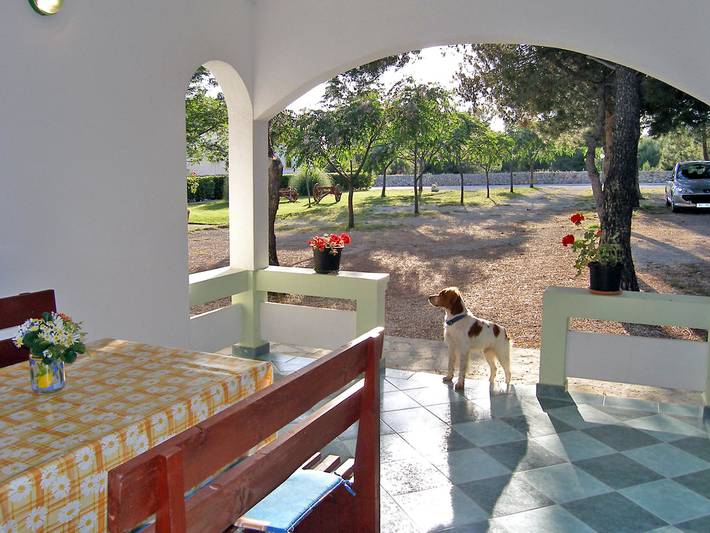 Ferienhaus für 4 Personen, mit Terrasse und Garten auf Vir - 4