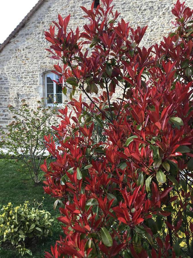 Location de vacances pour 2 personnes, avec vue ainsi que piscine et jardin à Château-Chalon - 2