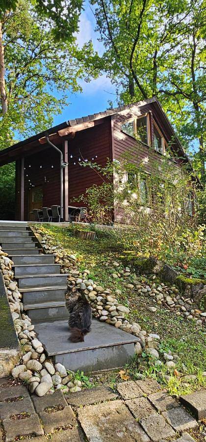 Ferienhaus für 6 Personen, mit Terrasse und Garten sowie Sauna und Ausblick im Steigerwald - 2