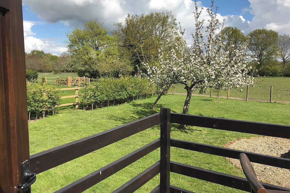 Maplehurst Barn Stables in Staplehurst, Kent