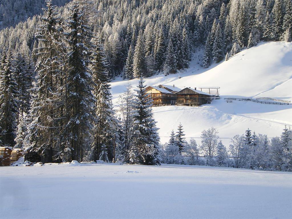 Ganze Ferienwohnung, Biohof Jenewein in Innervillgraten, Osttirol