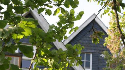 Ferienwohnung für 4 Personen in Gummersbach, Oberbergischer Kreis, Bild 3