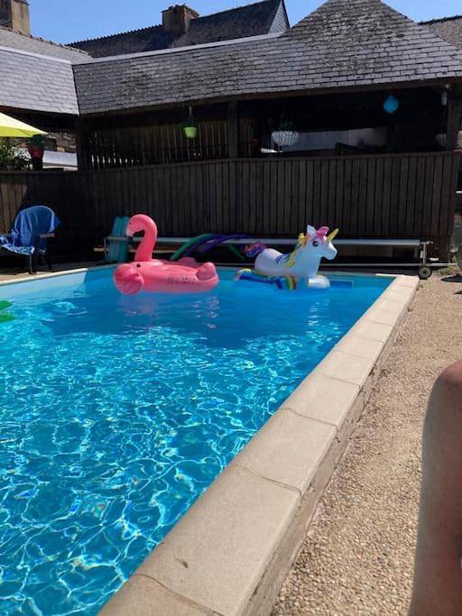 Appartement entier, Studio cosy Piscine Rocherfort en Terre Centre in Rochefort-en-Terre, Région de Vannes
