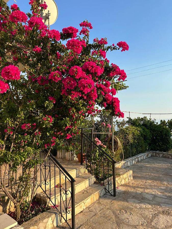Maison d’hôte pour 4 personnes, avec jardin ainsi que vue et balcon dans Dhërmi - 2