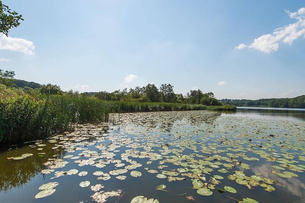 Hel lejlighed, Niehuuser Annenhof - Niehuuser Annenhof - Wohnung Oben in Harreslev, Flensborg Fjord