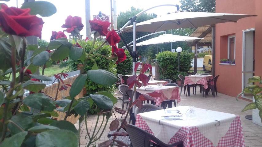 Gîte pour 3 personnes, avec jardin à Misano Adriatico - 2