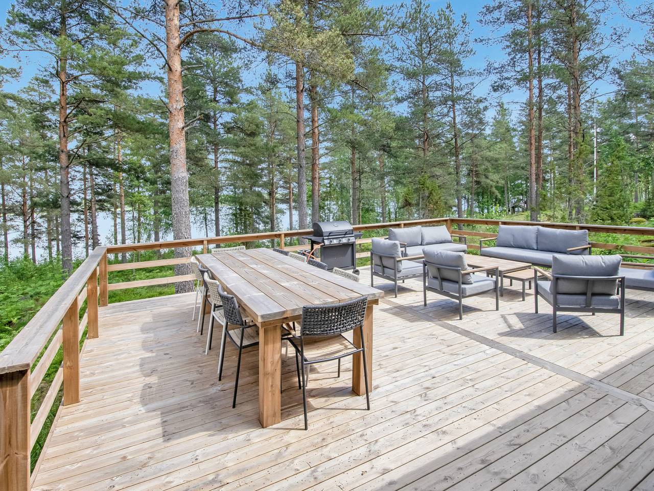 Joutsen in Uusimaa