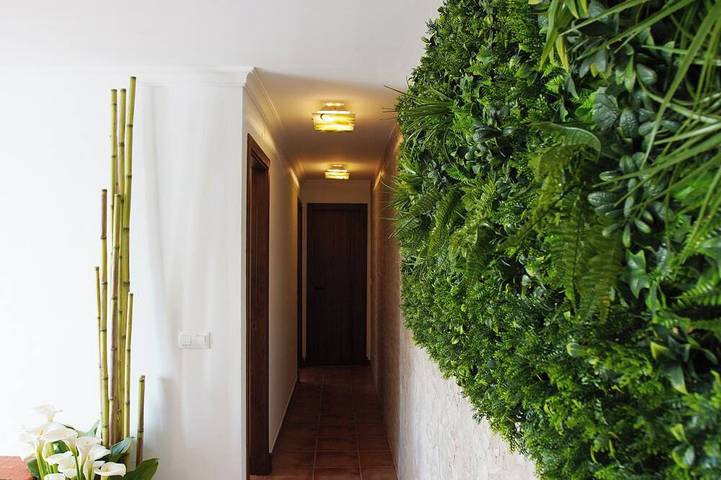 Ferienhaus für 6 Personen, mit Terrasse, mit Haustier - 1
