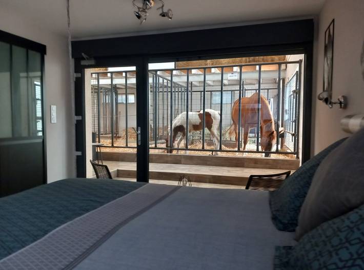 Gîte pour 5 personnes, avec jacuzzi et jardin ainsi que terrasse et piscine dans Meurthe-et-Moselle - 3