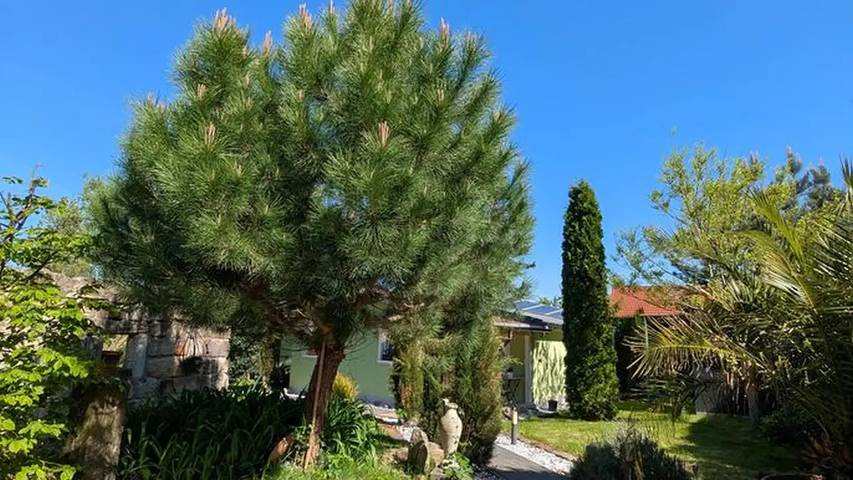 Ferienwohnung für 3 Personen in Sächsische Schweiz - 3