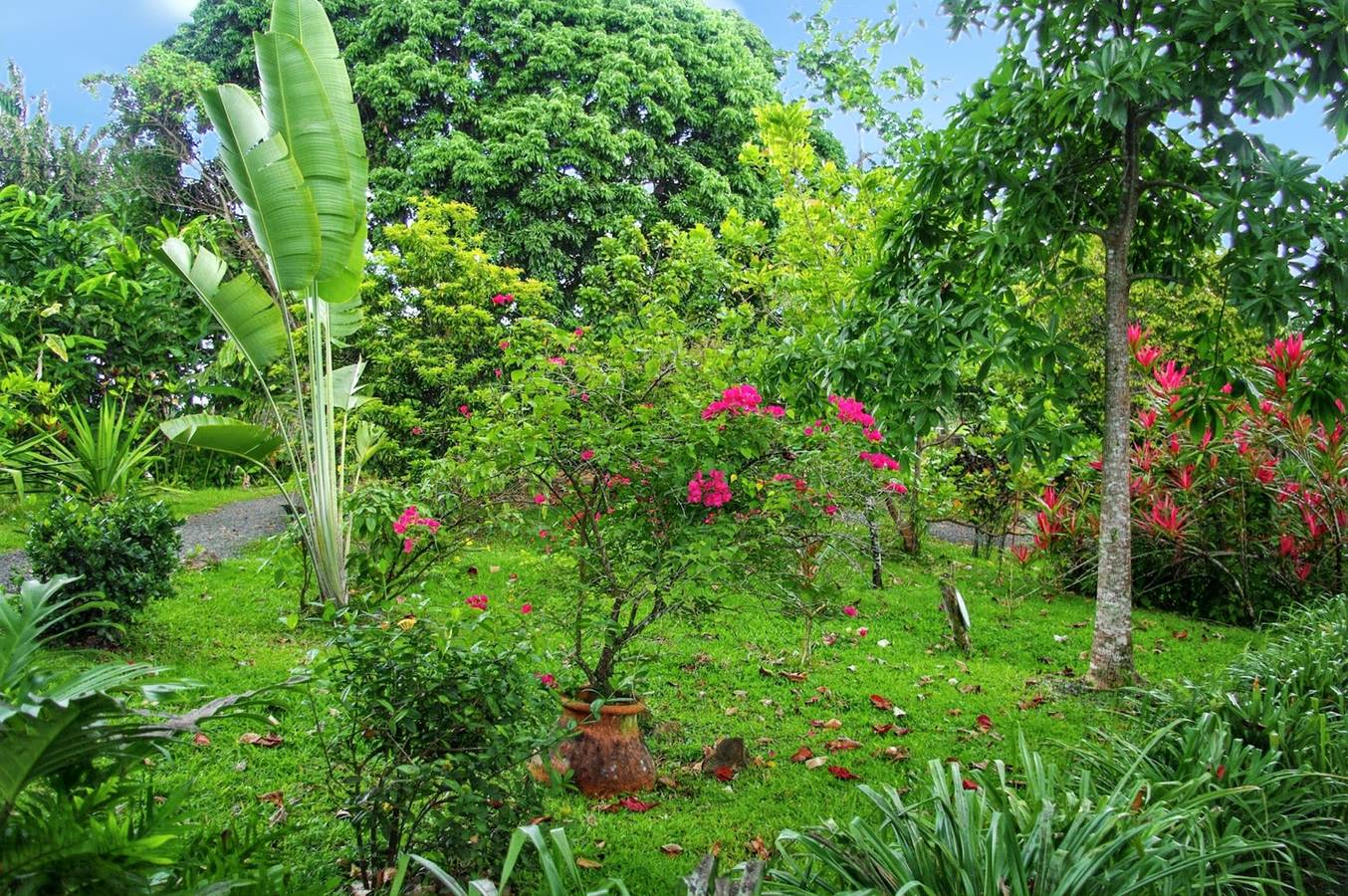 Entire apartment, Exquisite Apartment in Baie-Mahault, 40m² with Lovely Garden in Baie-Mahault, Guadeloupe (Caribbean)