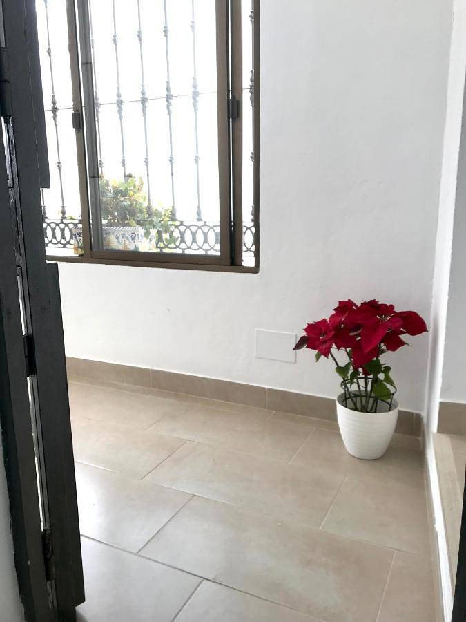 Gîte pour 4 personnes à Bornos - 4