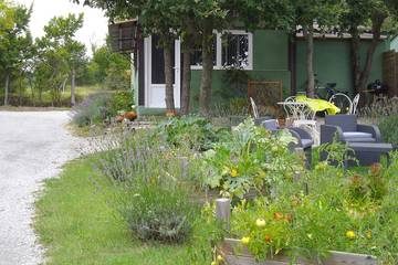 Gîte pour 5 personnes, avec jacuzzi ainsi que piscine et jardin à Pezens