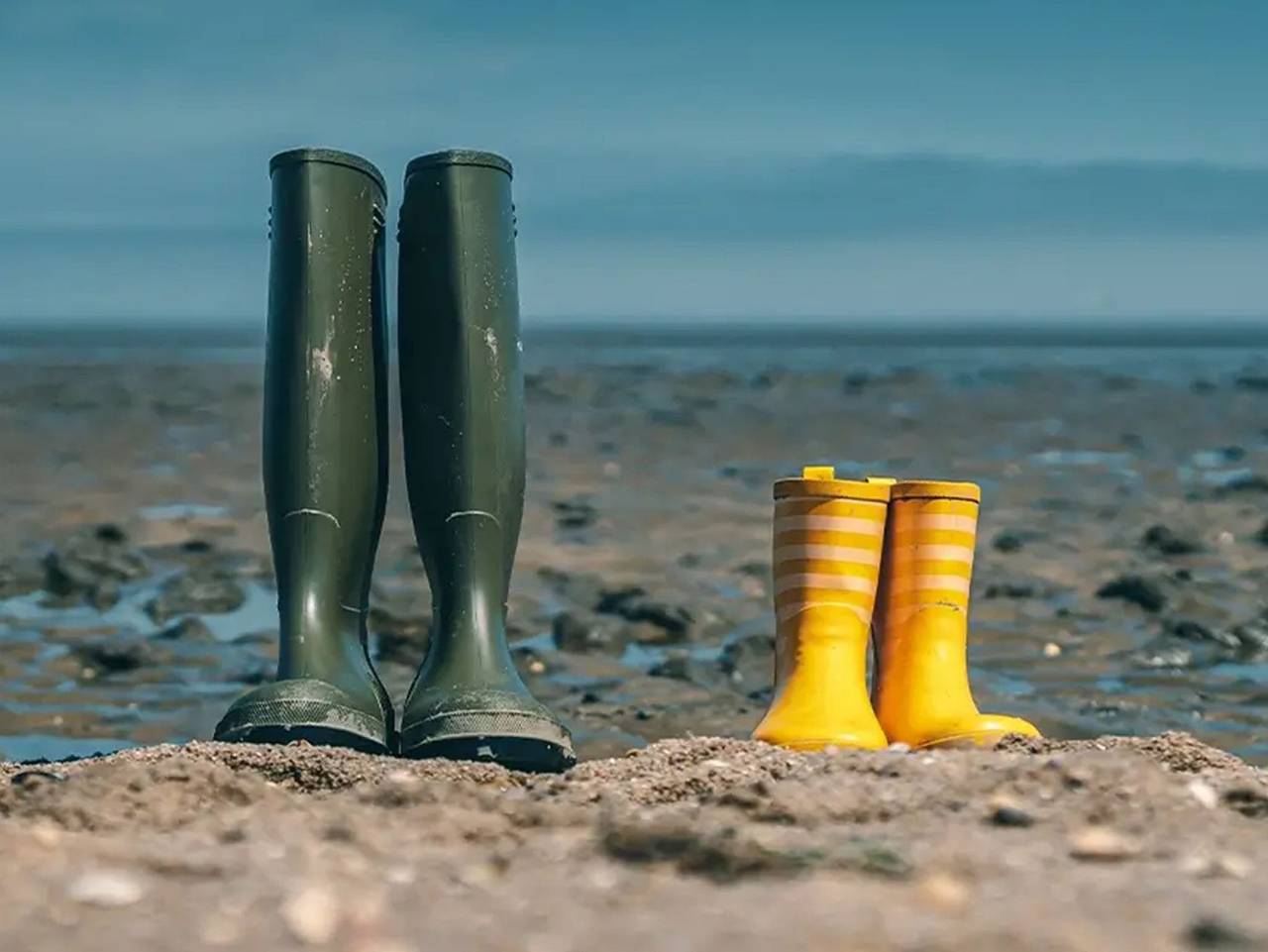 Ferienhaus Brandungsperle - Ferienhaus Brandungsperle in Sehestedt (Jade), Jade