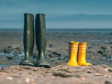 Ferienpark für 8 Personen in Jade, Metropolregion Bremen-Oldenburg, Bild 4