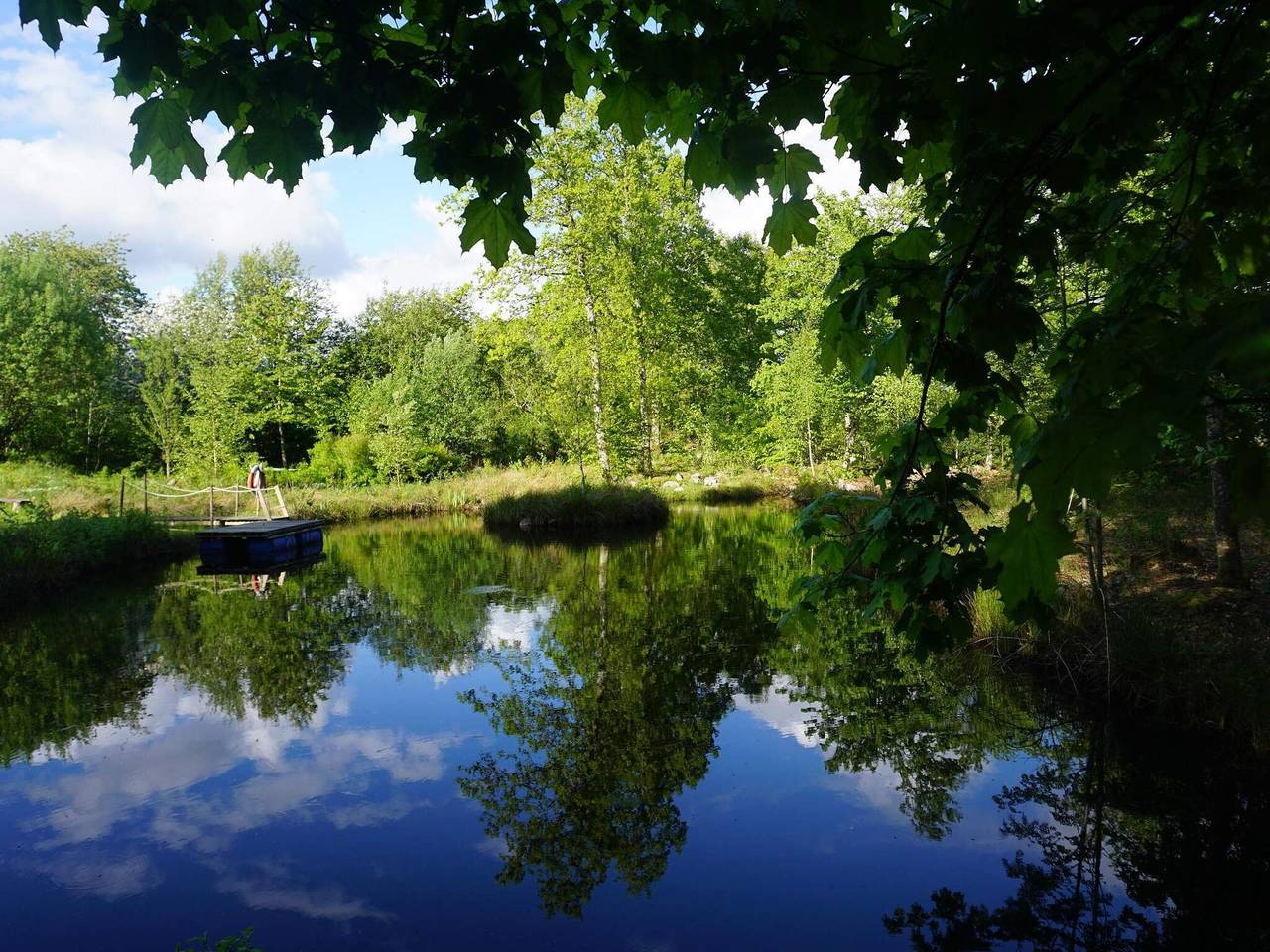 4 stjarniga stuga i Brösarp in Österlen