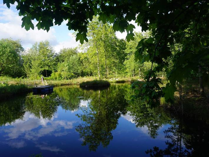 4 stjarniga stuga i Brösarp in Österlen