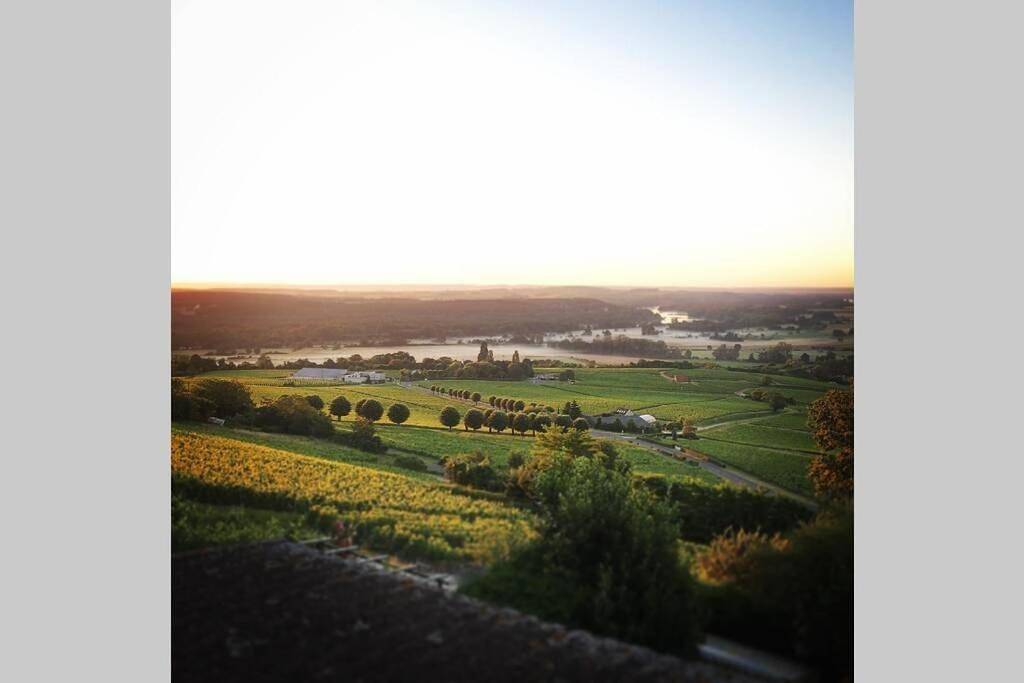 Appartement entier, Vue panoramique sur le vignoble - 1D Rue Porte Oison, 18300 Sancerre in Sancerre, Région de Bourges