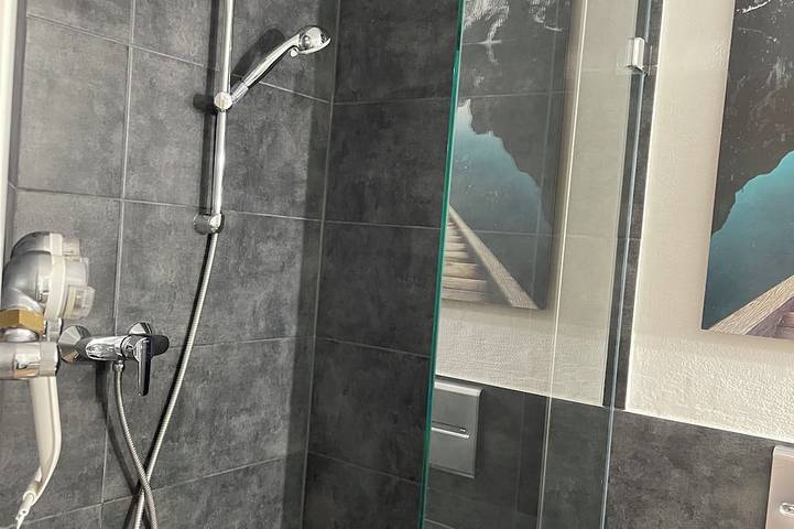 Ganze Wohnung, Domus  Lux 404 in Bad Säckingen, Südschwarzwald