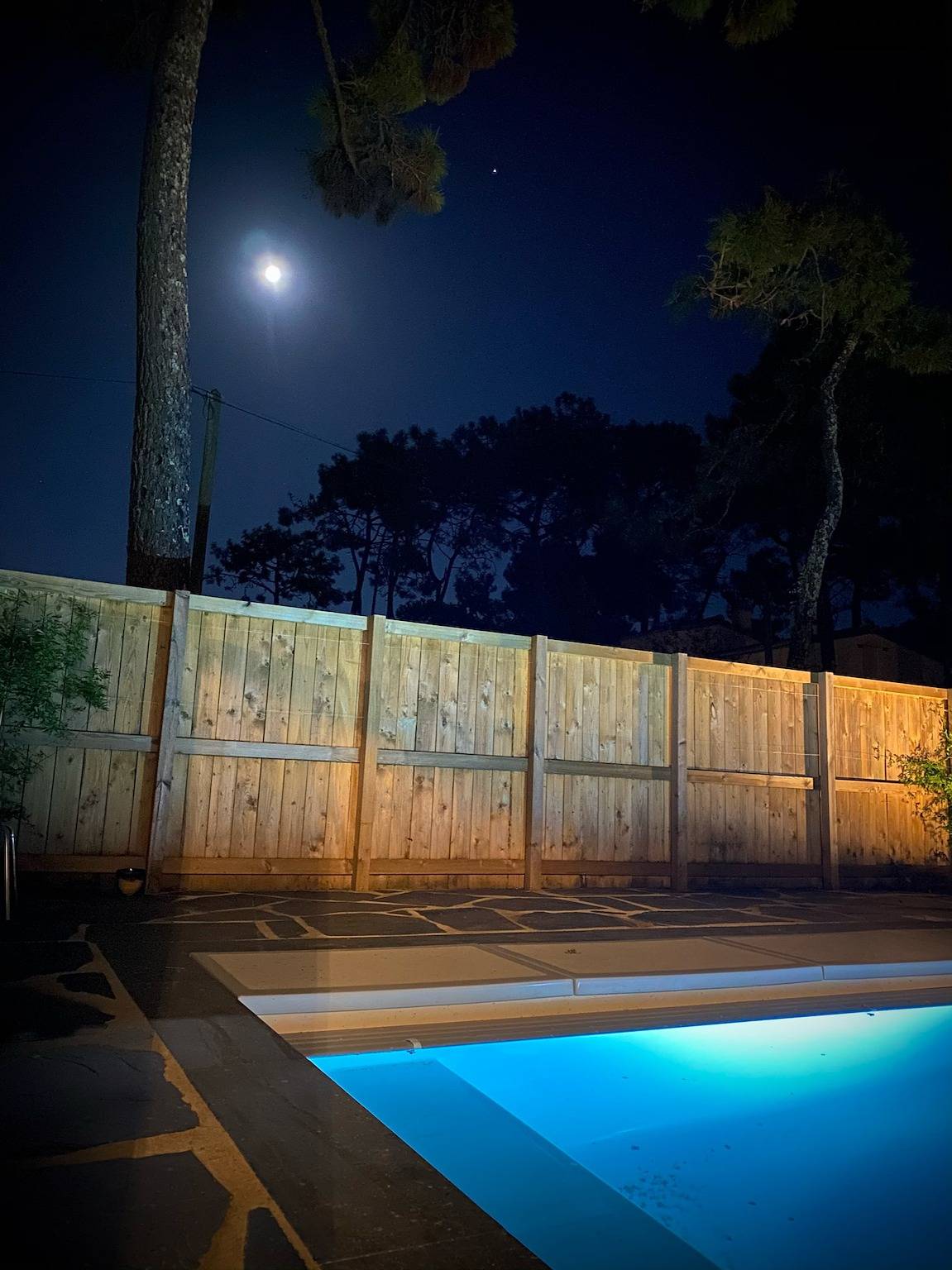 Domaine avec piscine sous les pins in La Tranche-sur-Mer, Vendée