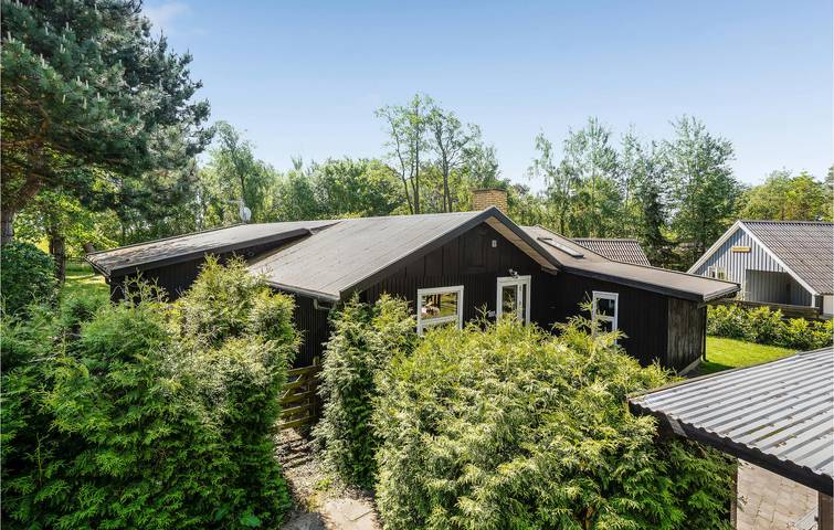Ferienhaus für 8 Personen, mit Garten und Terrasse in Gedesby - 3