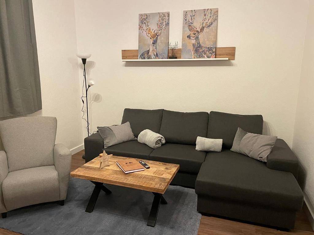 Ganze Ferienwohnung, Appartement Mülmeketal in Eimelrod, Willingen