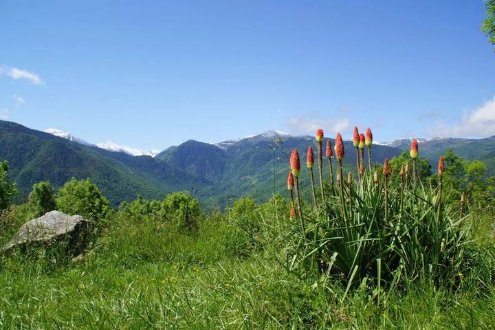 Location de vacances pour 6 personnes, avec Balcon et Terrasse ainsi que Jardin et Vue à Sorgeat