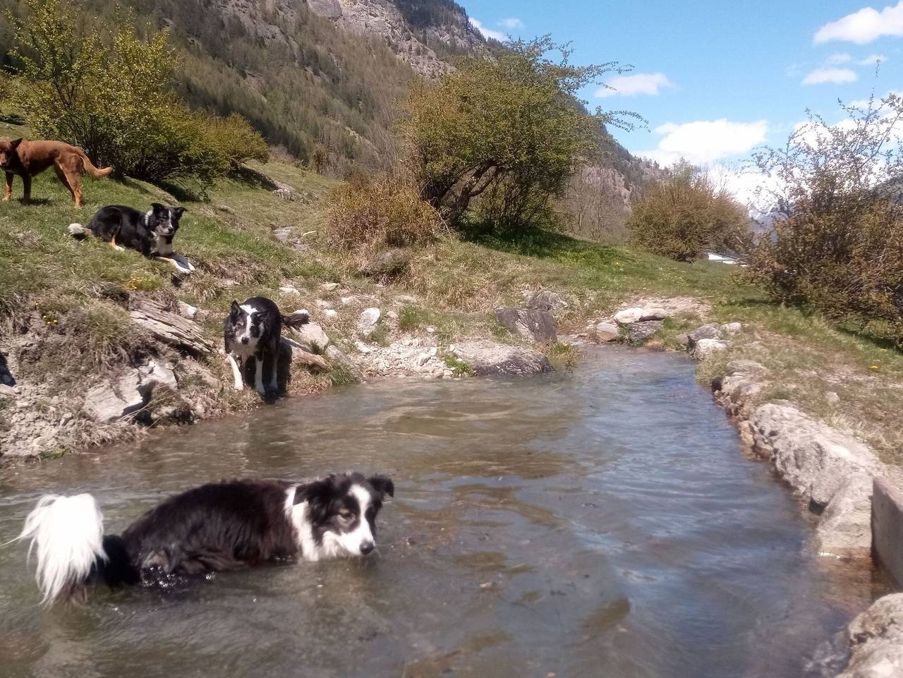 Ganze Ferienwohnung, Abseits  -  Urlaub mit Hund - Ferienwohnung Abseits in Pfunds, Tiroler Oberland