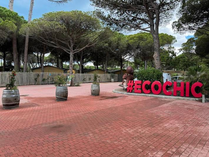 Location de vacances pour 4 personnes, avec jardin et piscine, animaux acceptés dans la Tamarissière - 2