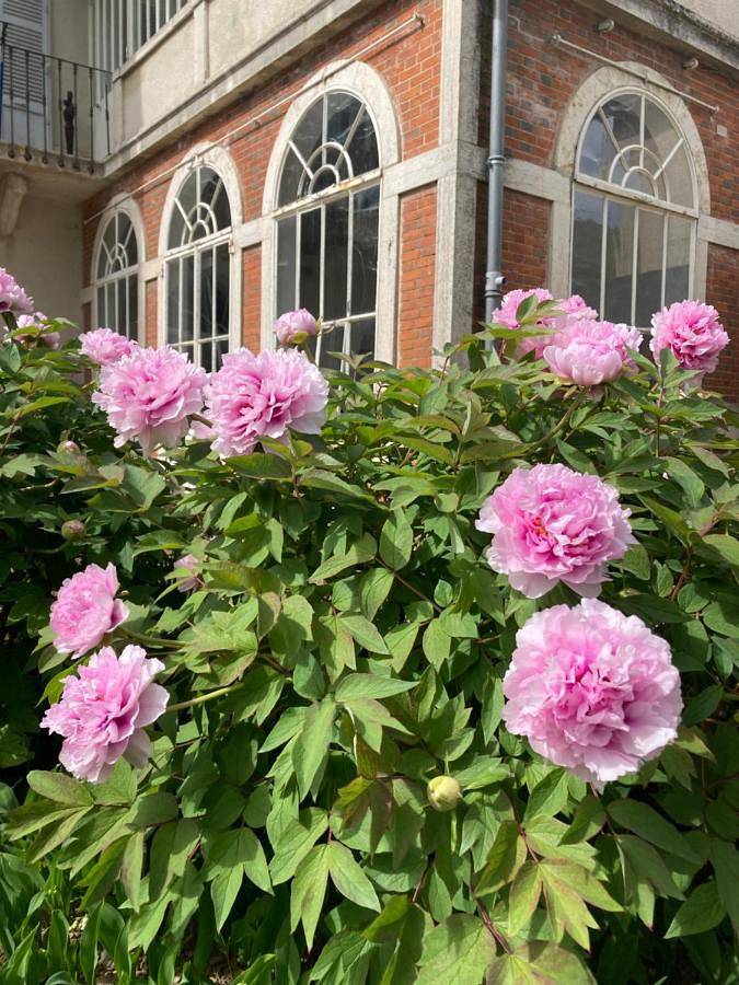 Location de vacances pour 4 personnes, avec jardin et vue à Mellecey - 4