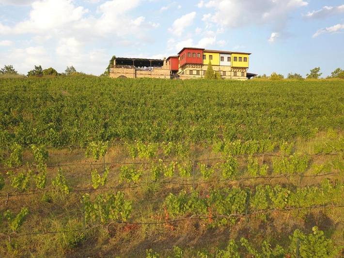 Hôtel pour 3 personnes, avec jacuzzi et jardin dans Vergina - 4