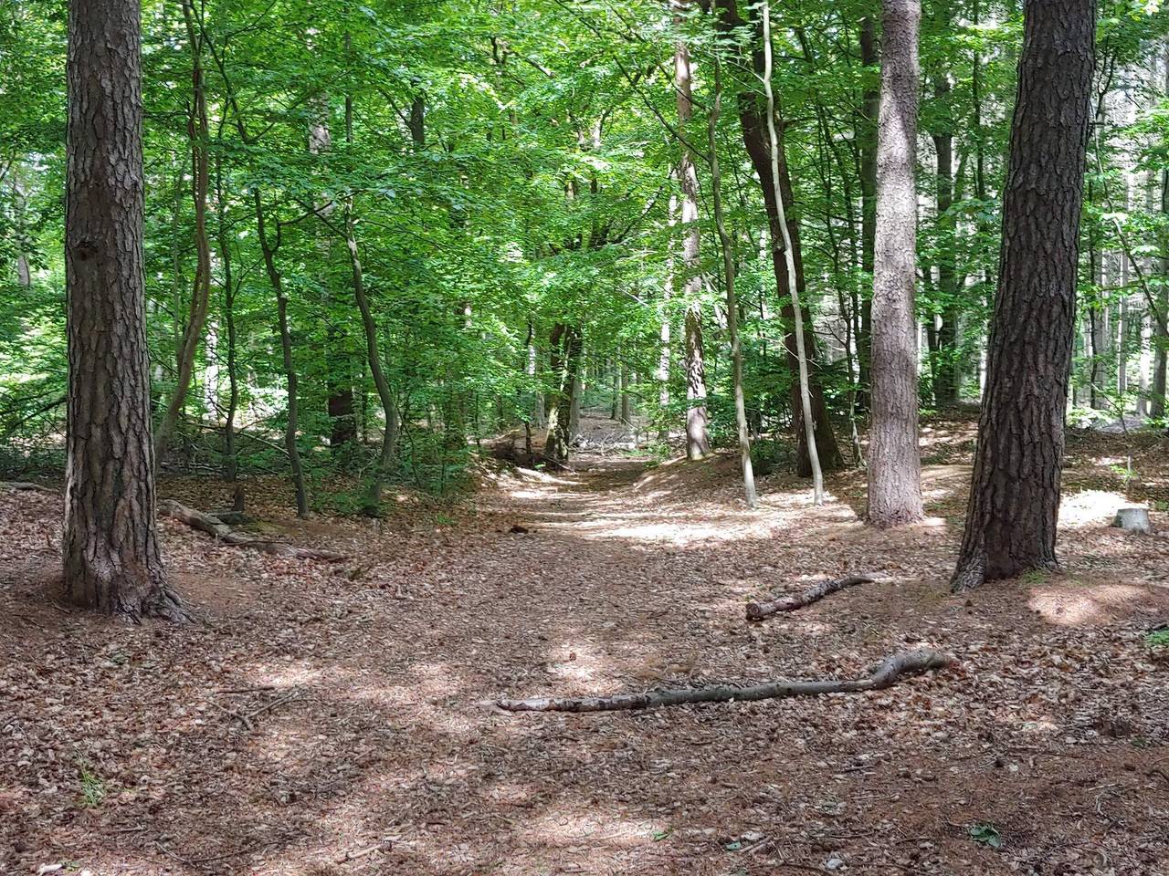 4 Personen Ferienhaus in Oksbøl in Jegum, Jegum Ferieland