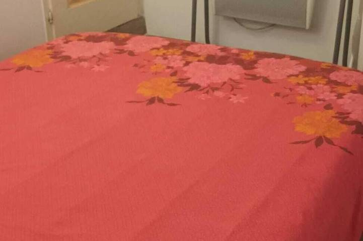 Location de vacances pour 3 personnes, avec jardin et terrasse, animaux acceptés à Saint-Avit-Saint-Nazaire - 4