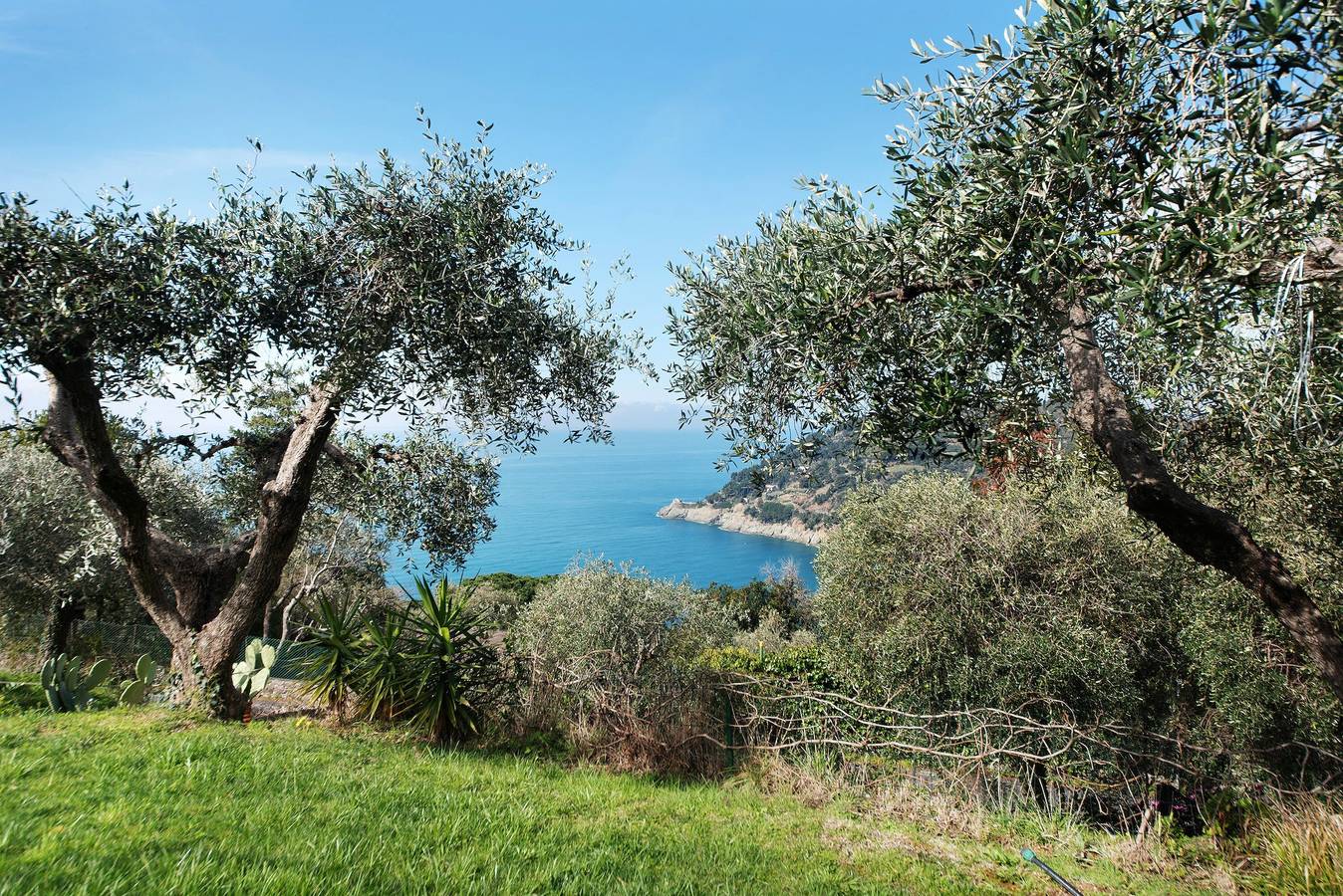 Appartamento intero, Appartamento "Il Paradiso Sul Mare" con giardino condiviso e Wi-Fi in Bonassola (Città), Bonassola