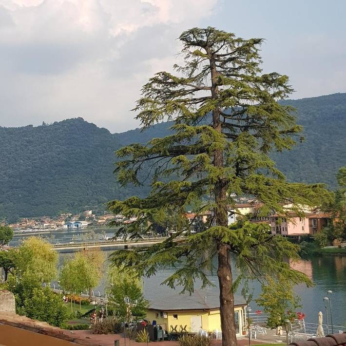 Location de vacances pour 2 personnes, avec vue ainsi que balcon et vue sur le lac à Sarnico - 3