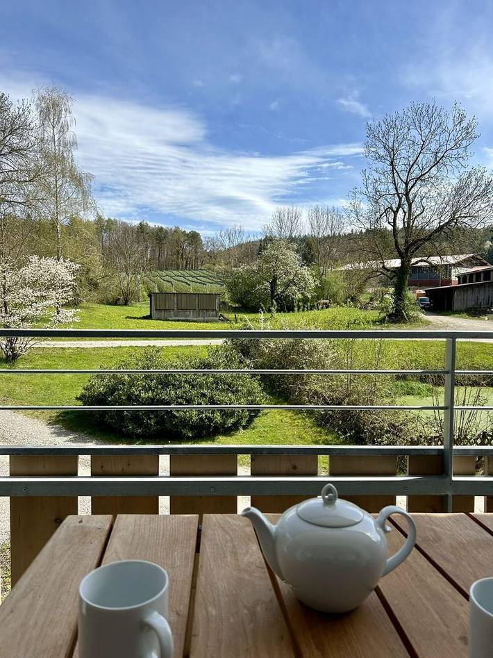 Ganze Wohnung, Mariahof 4 in Uhldingen-Mühlhofen, Region Bodensee-Oberschwaben