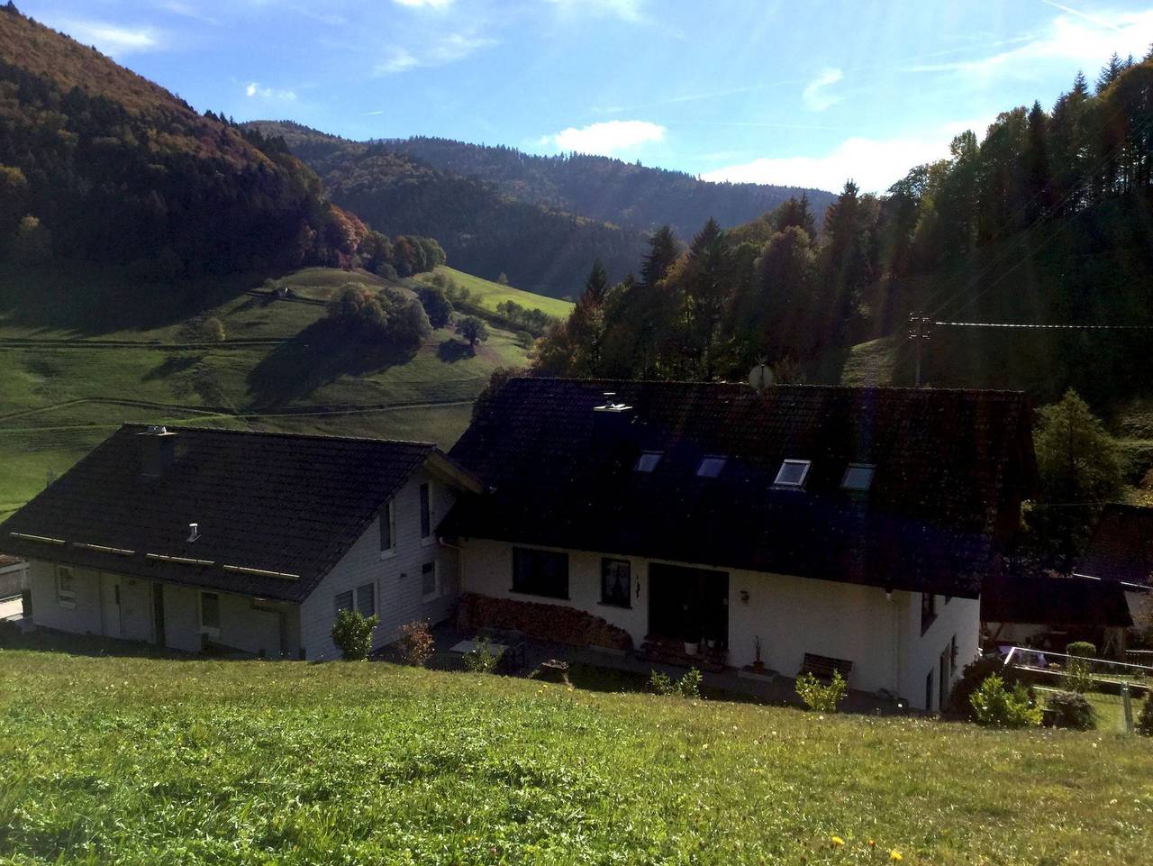 Ganze Ferienwohnung, Erikas Haus - Ferienwohnung Laitschenbach, 55qm, 1 Schlafraum, Balkon, max. 4 Personen, 1.Og in Obermünstertal, Münstertal