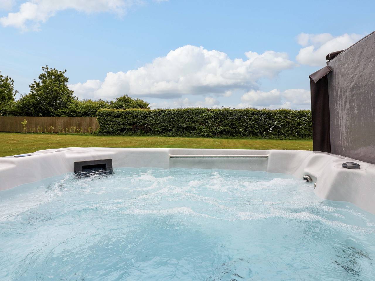 Kittiwake in Flamborough, East Riding of Yorkshire